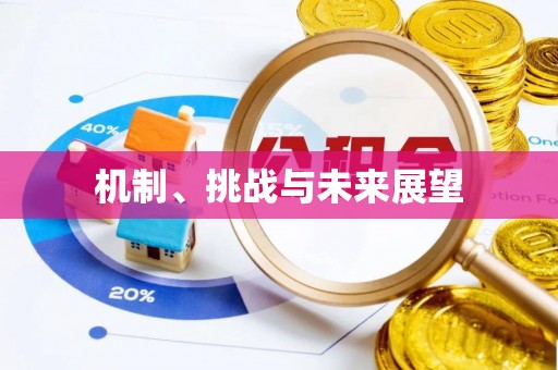 五家渠机制、挑战与未来展望